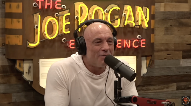 <p>“The internet is just buck wild, and the internet you can't do anything about,” Rogan said on Tuesday’s episode of <em>The Joe Rogan Experience</em>. </p>