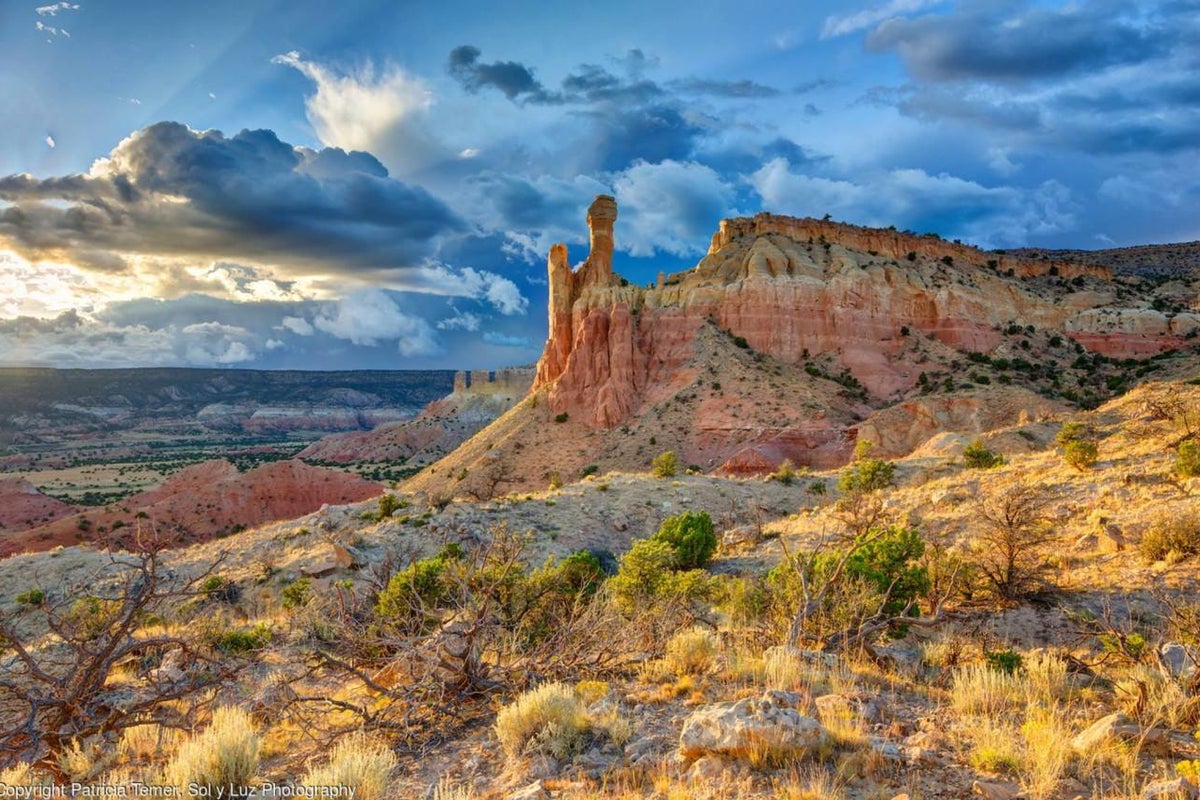 Plague infects New Mexico man after run of cases in western states Plague infects New Mexico man after run of cases in western states