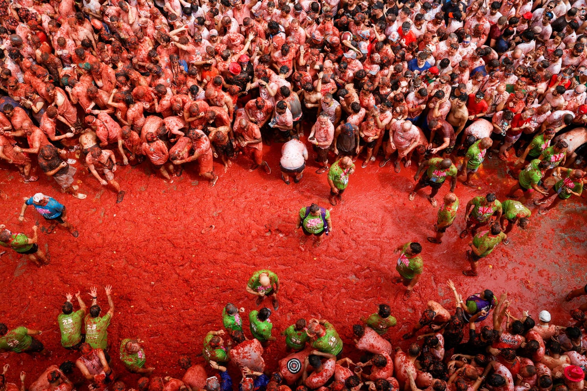 La Tomatina celebrates 80 years of tomato-fuelled chaos at fruit-throwing festival in Spain