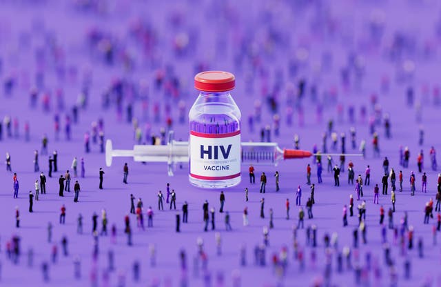 <p>The study treated mice with a combination vaccine which could protect against HIV in one dose</p>