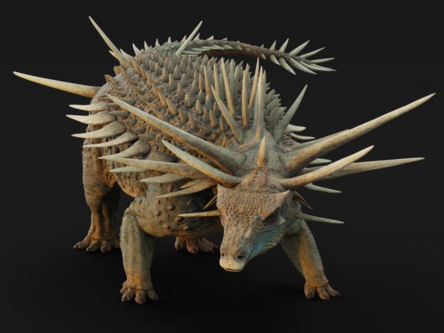 <p>An artistic reconstruction of the ankylosaur Spicomellus afer, based on fossils found in the Atlas Mountains of Morocco, shows the animal with the most extensive armor of any known dinosaur</p>