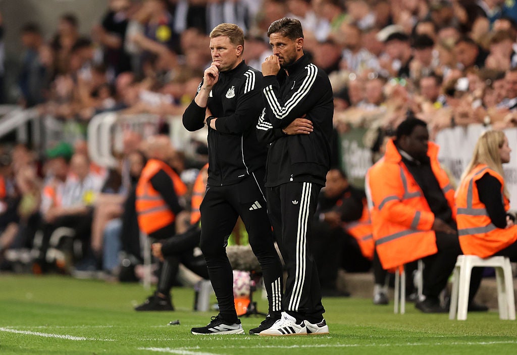 <p>Newcastle are without a win so far this season</p>