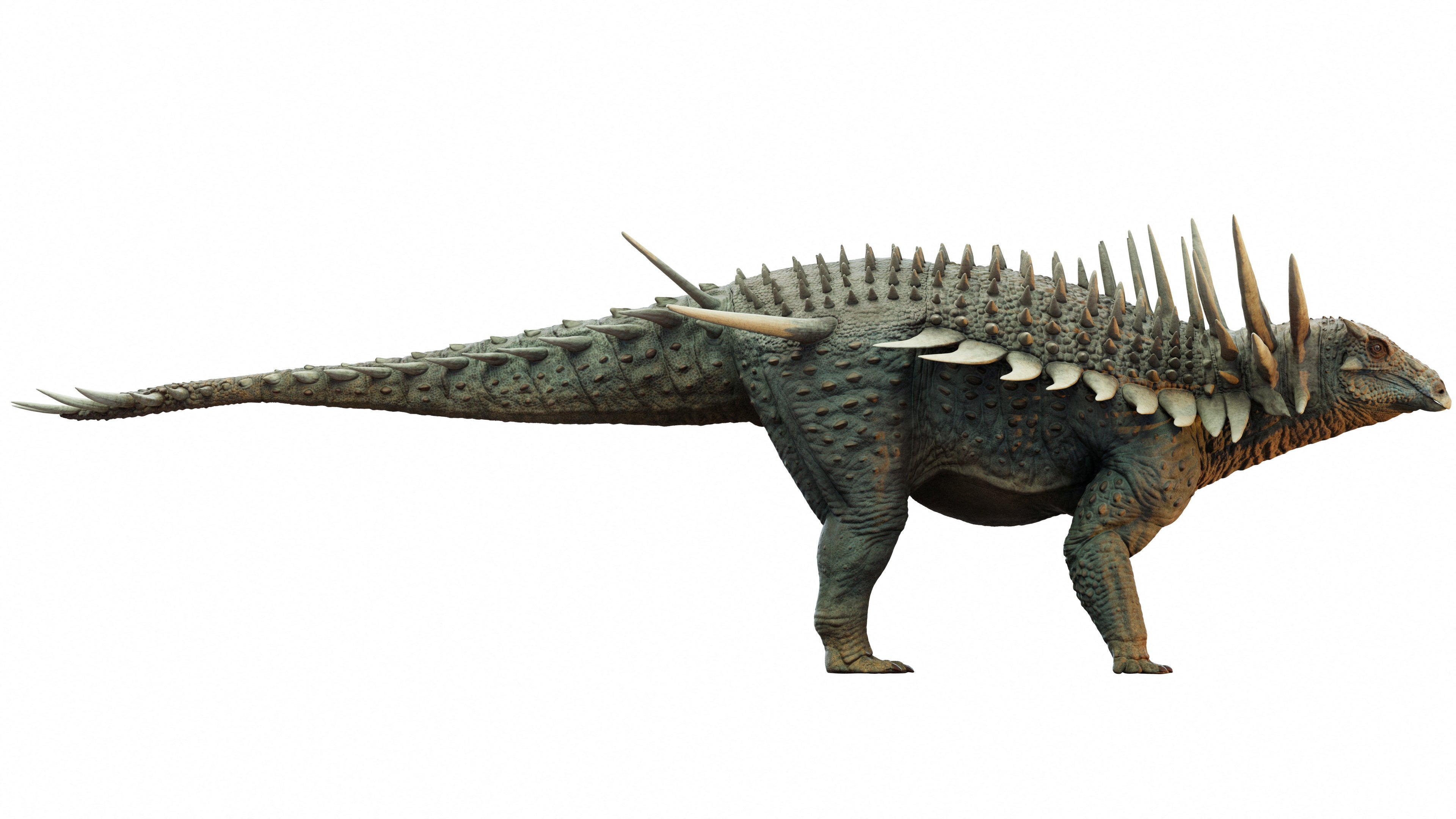 Spicomellus was roughly four metres long and weighed an estimated one to two tonnes