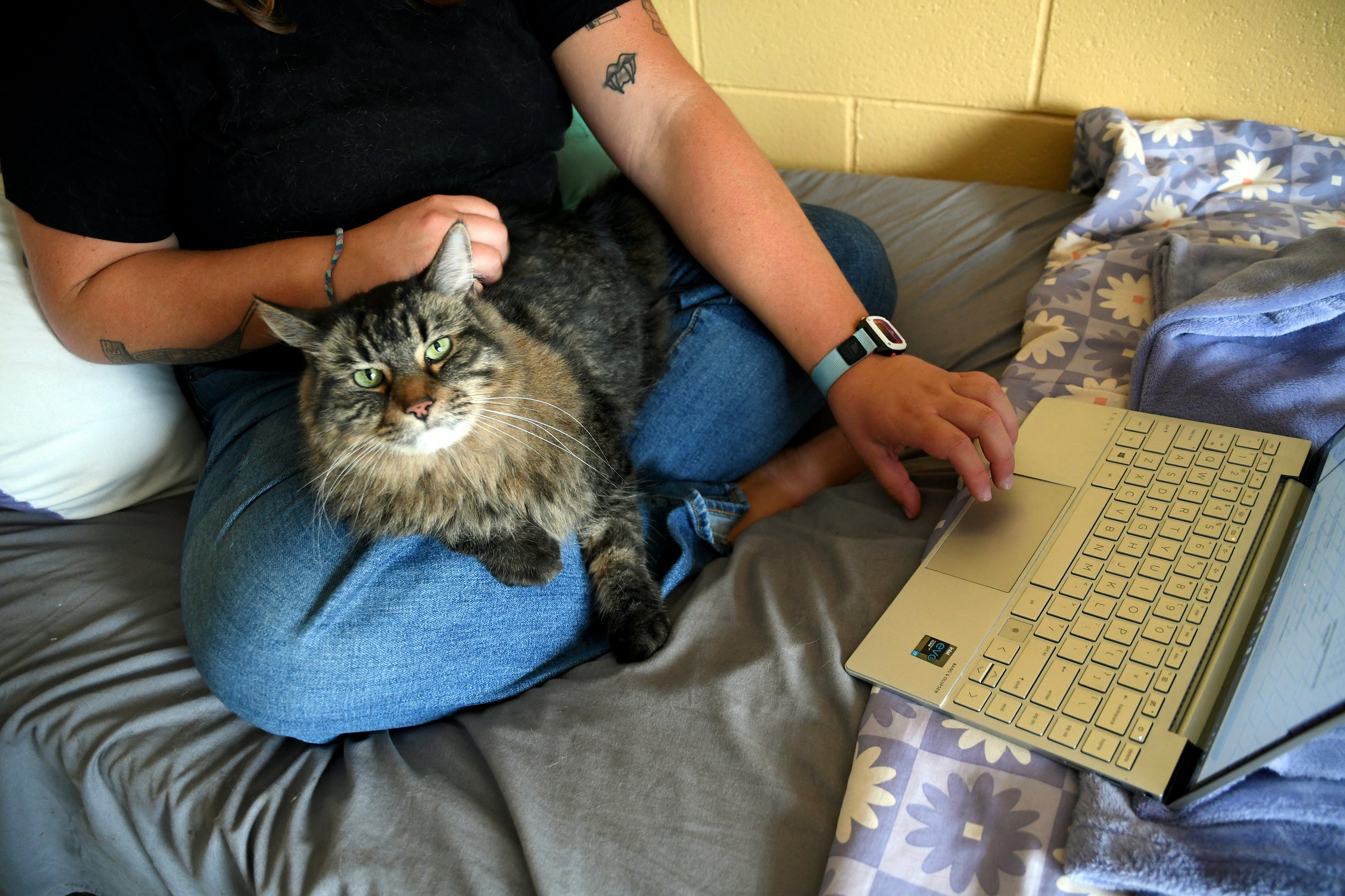 Student Molly Cheer sits with her pet comfort cat, Louie