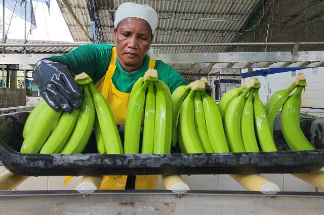 <p>Eating potassium-packed bananas can help lower blood pressure </p>