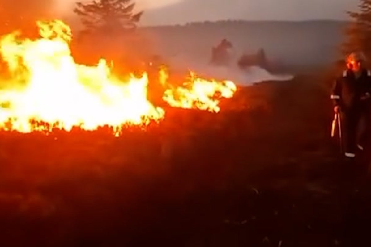 Major wildfire spreads across North Yorkshire Moors as farmers help tackle blaze and animals evacuated