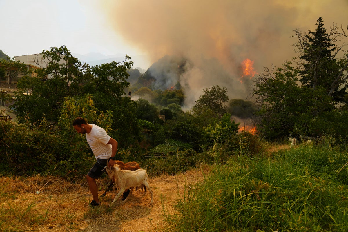 Climate change made deadly wildfires in Turkey, Greece and Cyprus more fierce, study finds