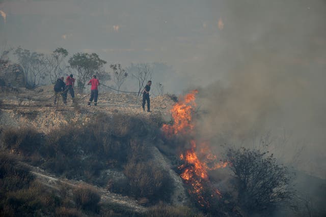 <p>Residents try to extinguish a blaze in Omodos village, Cyprus</p>