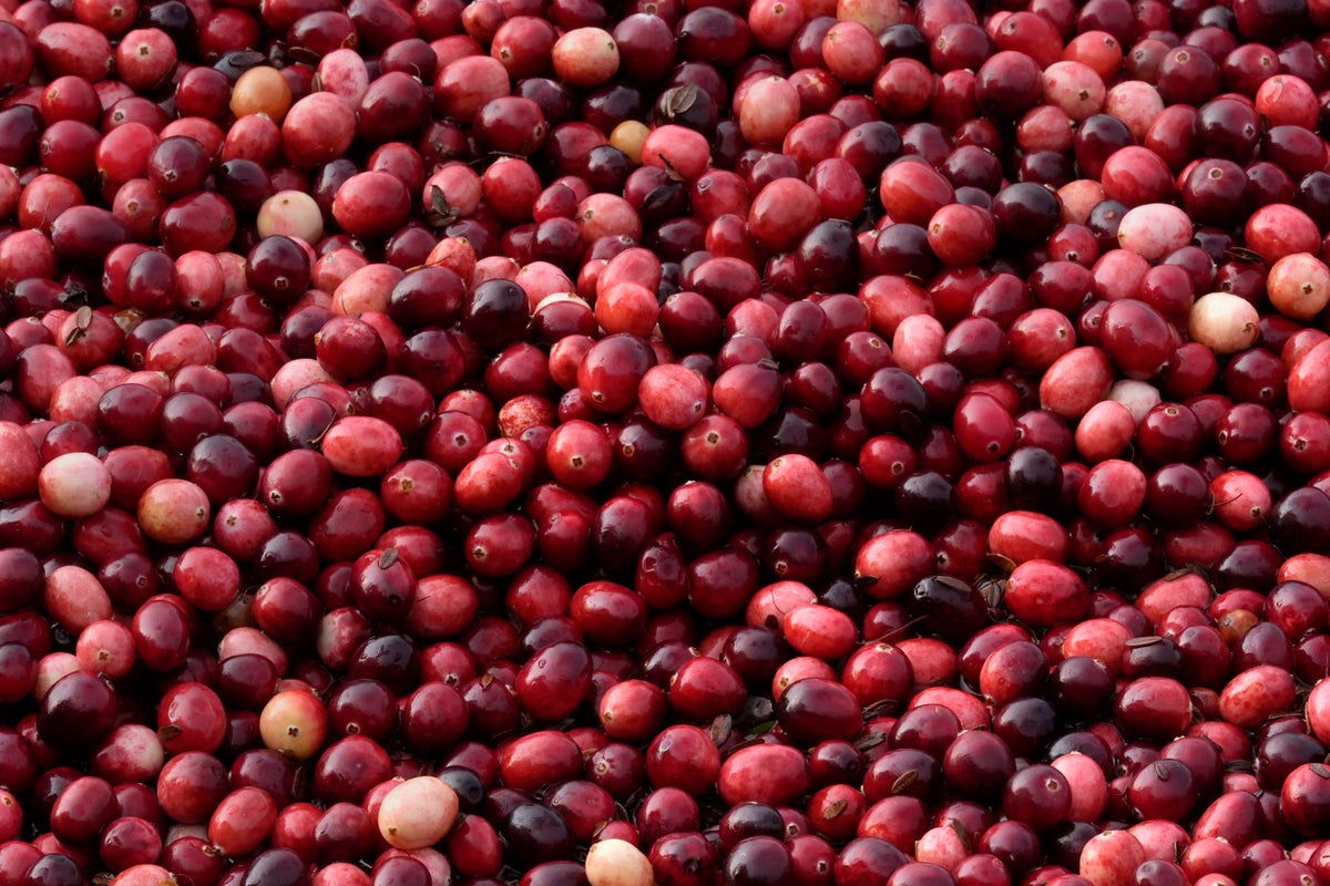 What to know about cranberries produced for Thanksgiving and the bogs being restored to wetlands