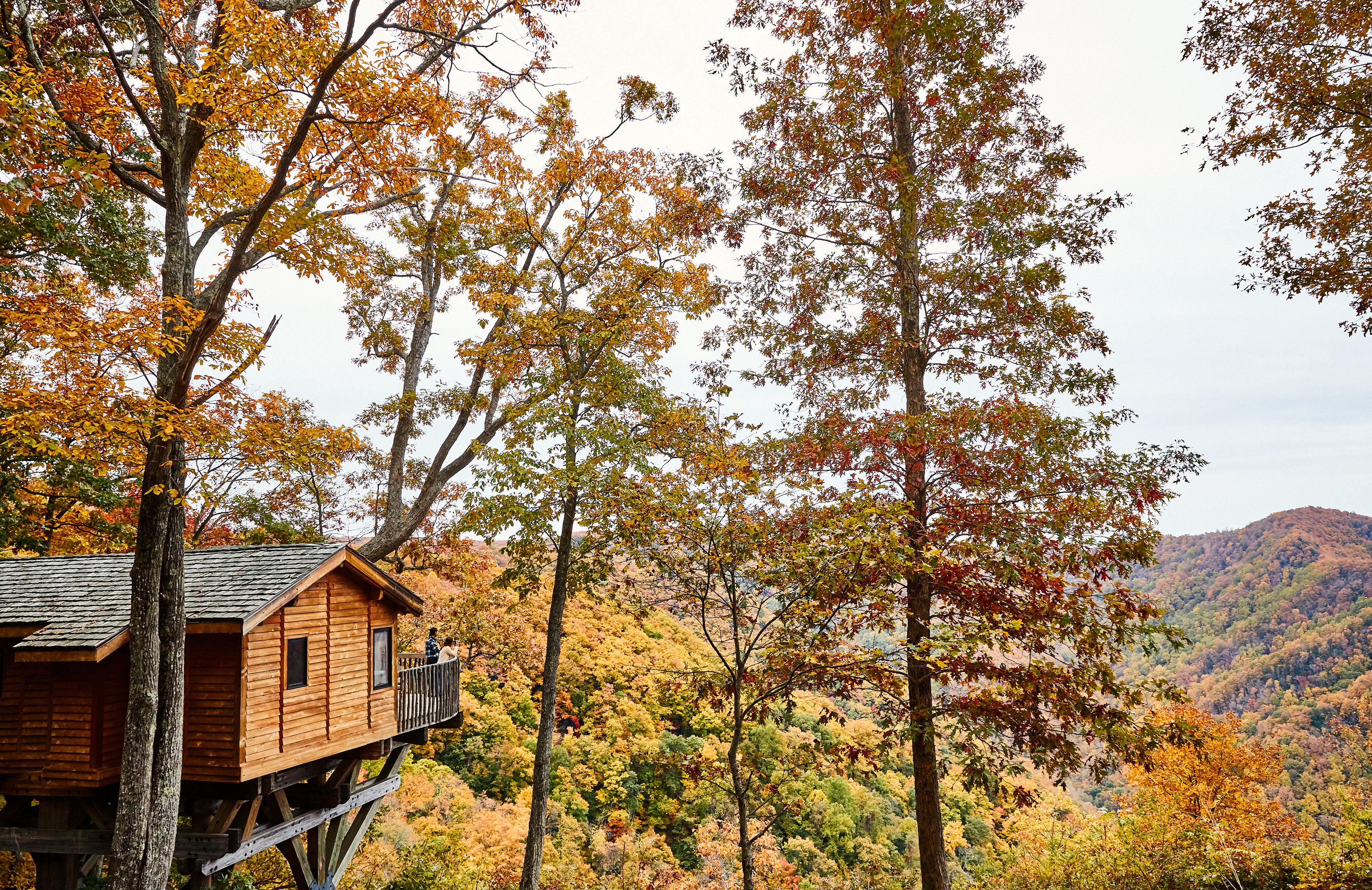 Soak in the sunrise from your serene treetop retreat at Primland, Auberge Resorts Collection