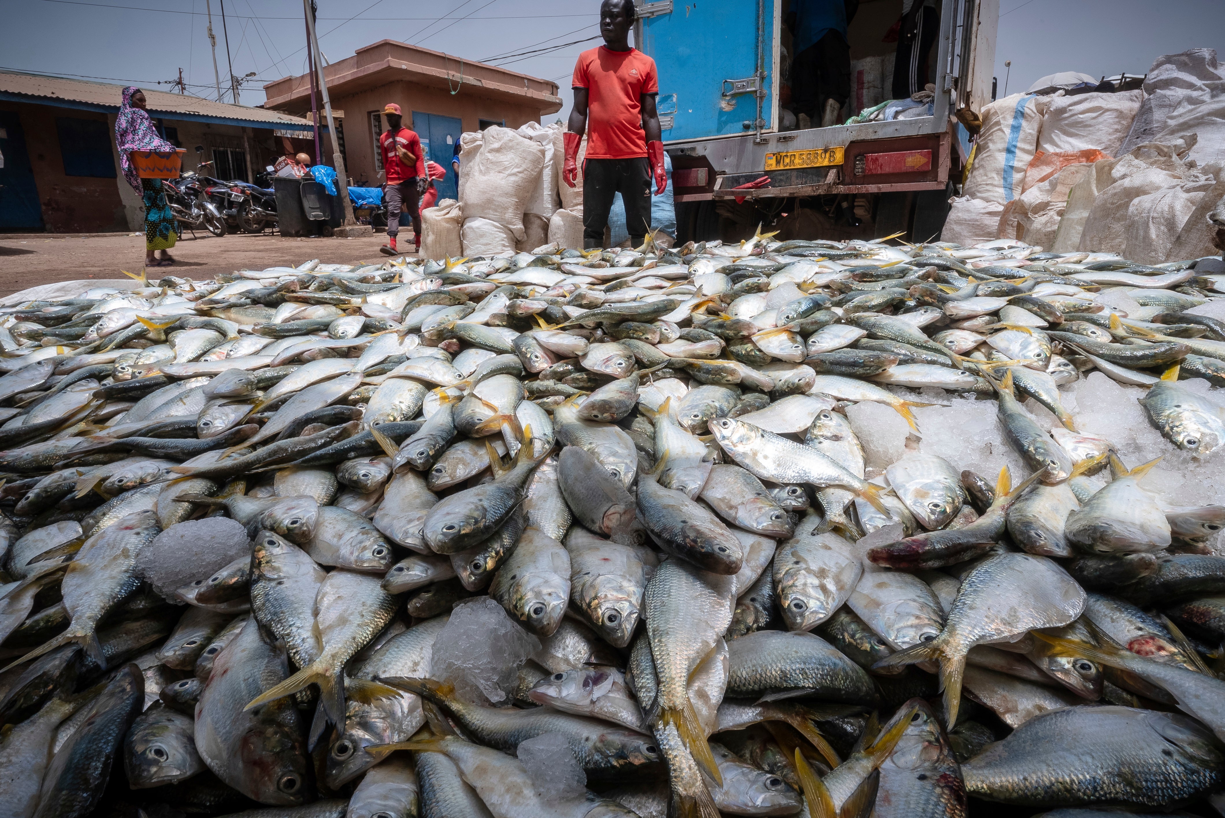 Ocean-Fisheries-The Fishing War