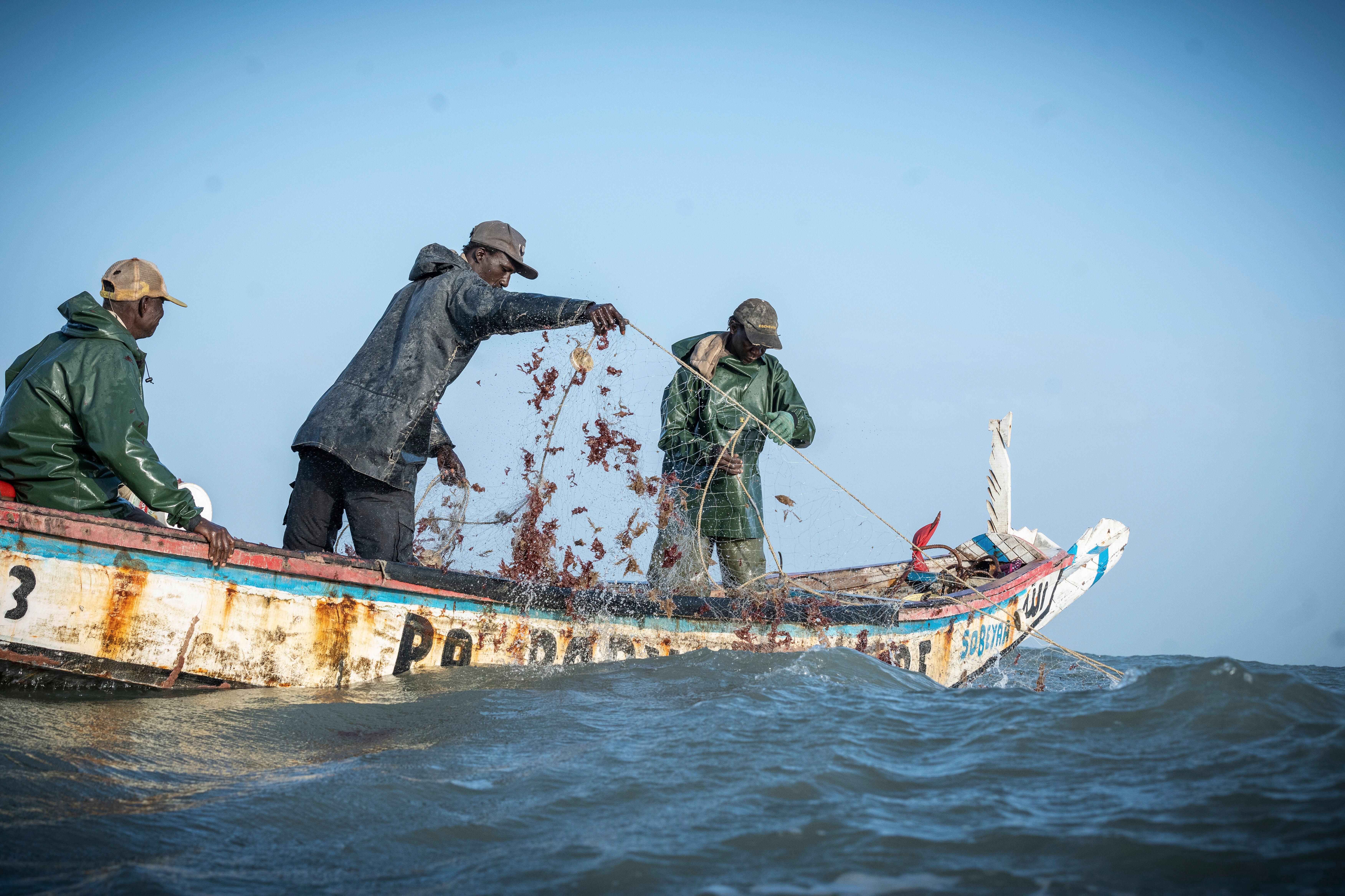 Ocean-Fisheries-The Fishing War