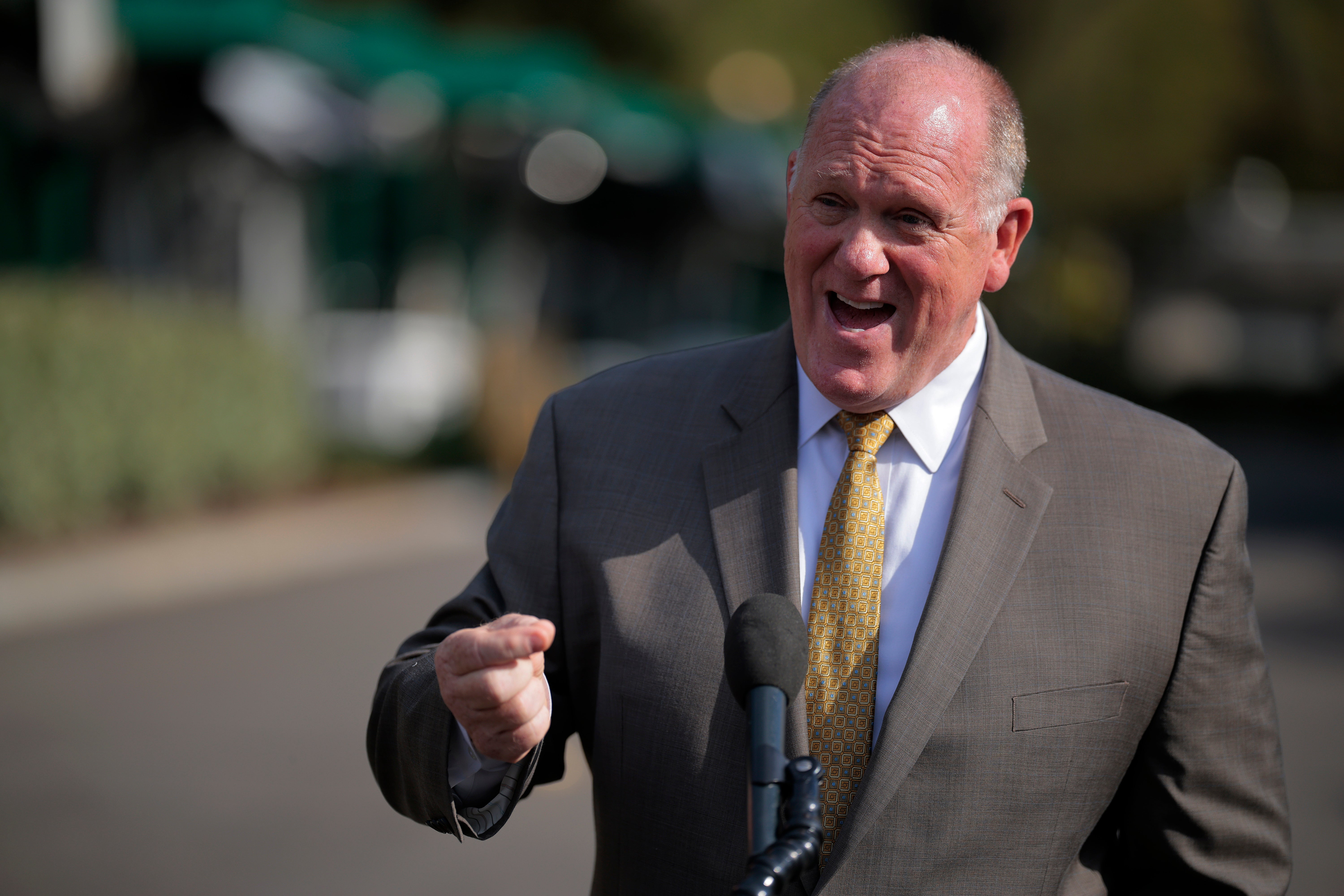 Tom Homan told reporters at the White House earlier this week that the administration was ‘close to capacity,’ but added that ‘we got beds coming online every day’