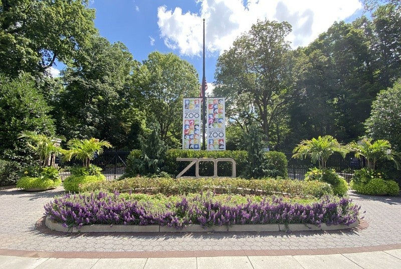 A woman was arrested at the National Zoo in Washington, D.C. for the alleged battery of a police officer. Her attorney issued a desperate plea for her release after she was detained.