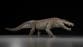 ‘Hypercarnivore’ crocodile relative that ripped apart dinosaurs discovered