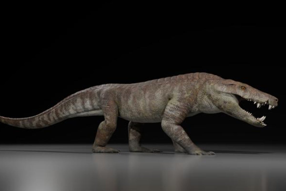 ‘Hypercarnivore’ crocodile relative that ripped apart dinosaurs discovered