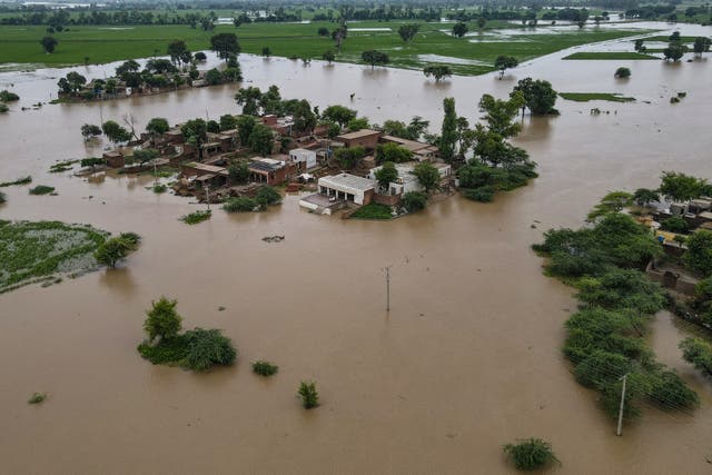 <p>Partially submerged houses in Haqu Wala village of Kasur district, Pakistan </p>