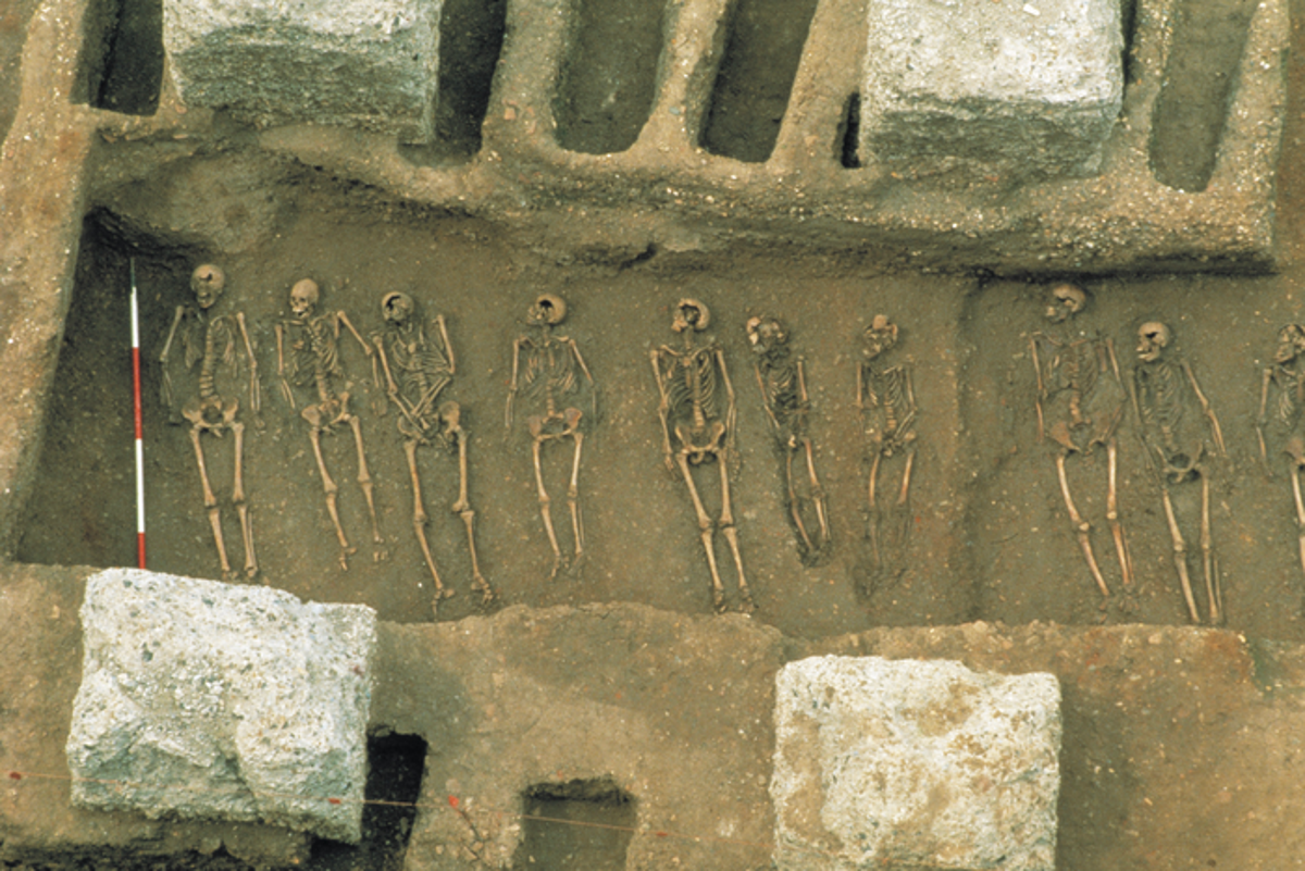 DNA study reveals origin of world’s first pandemic