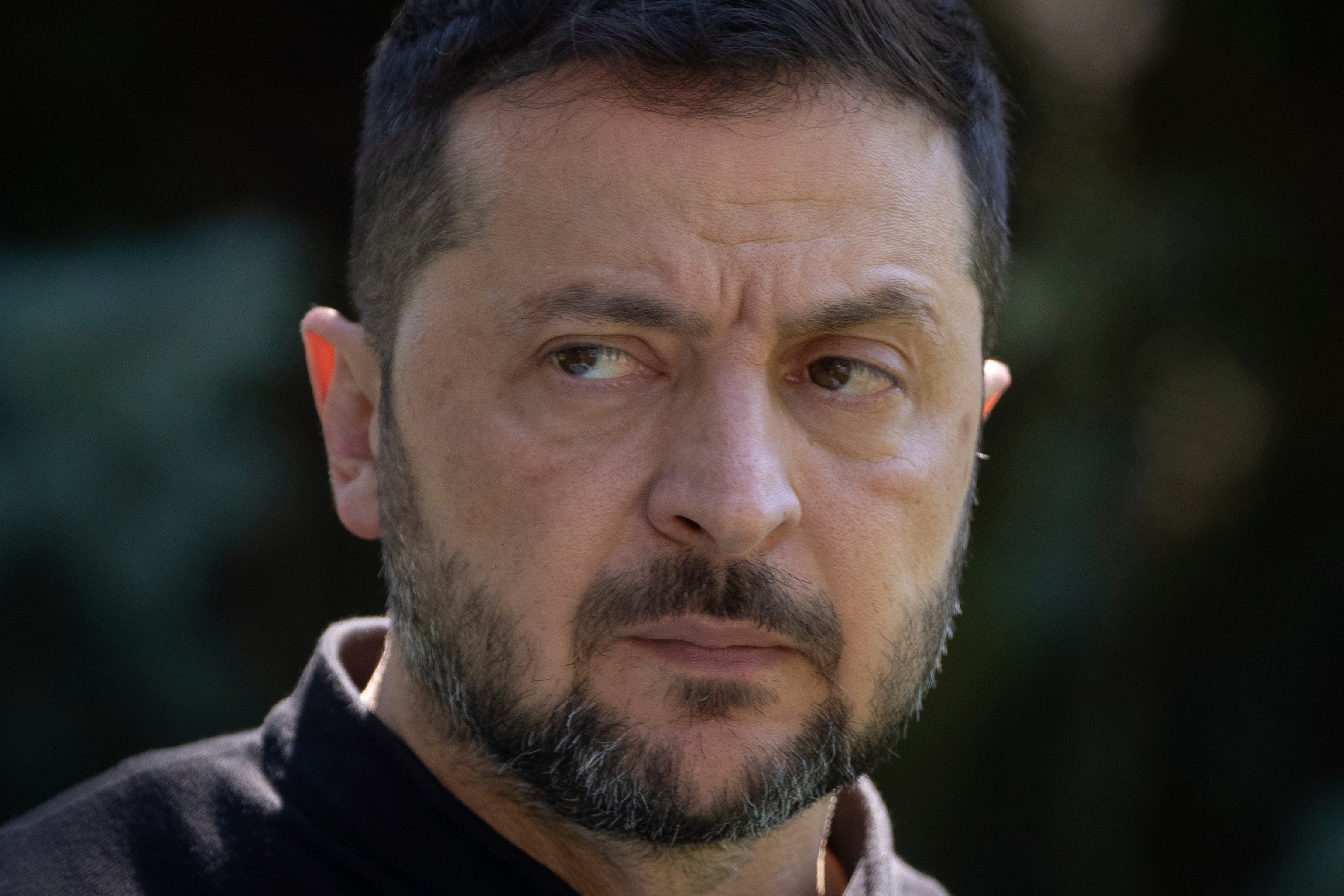 Zelensky believes Poland was deliberately targeted by Russia