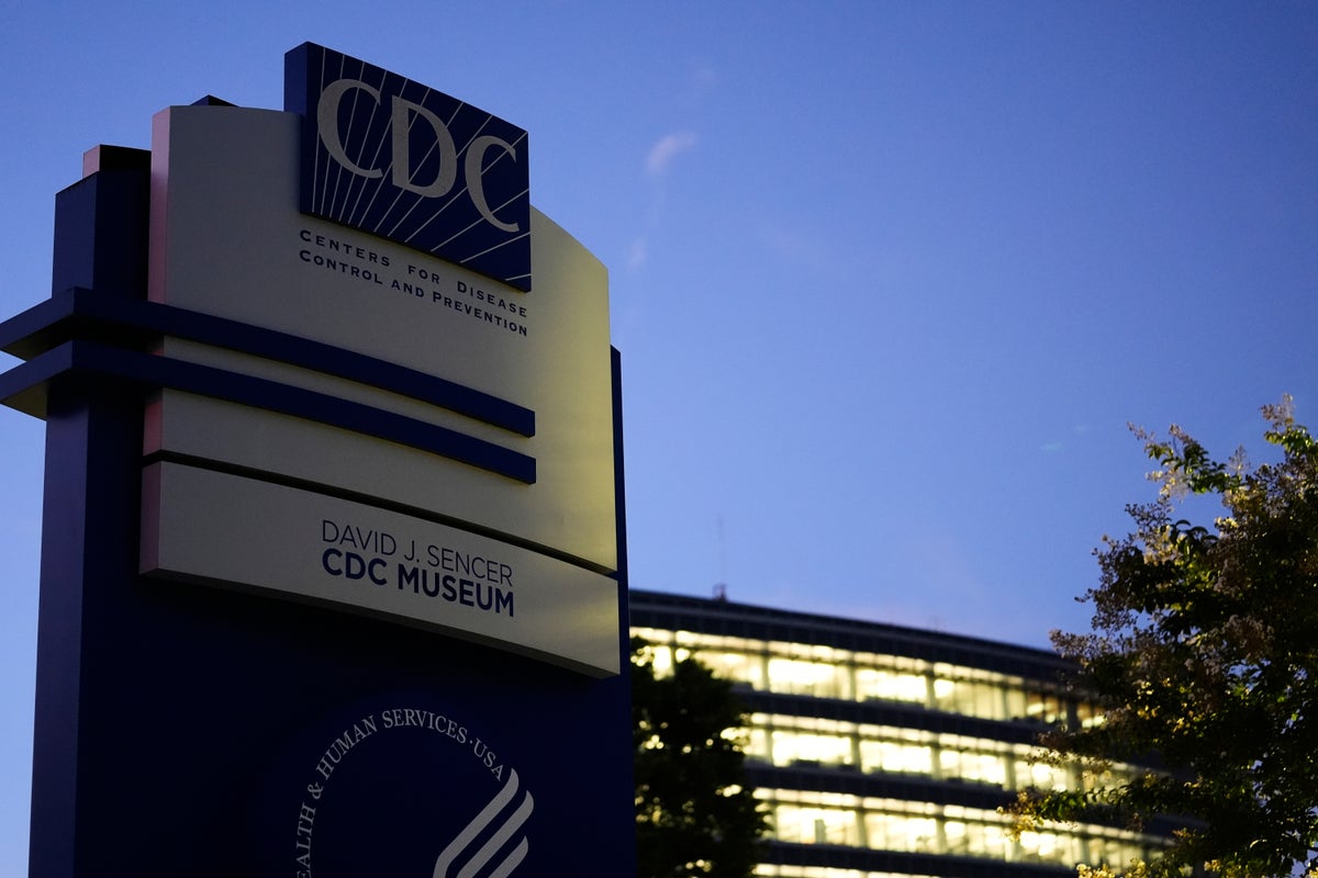 With CDC in chaos, scientists and physicians piece together replacements for agency's lost work