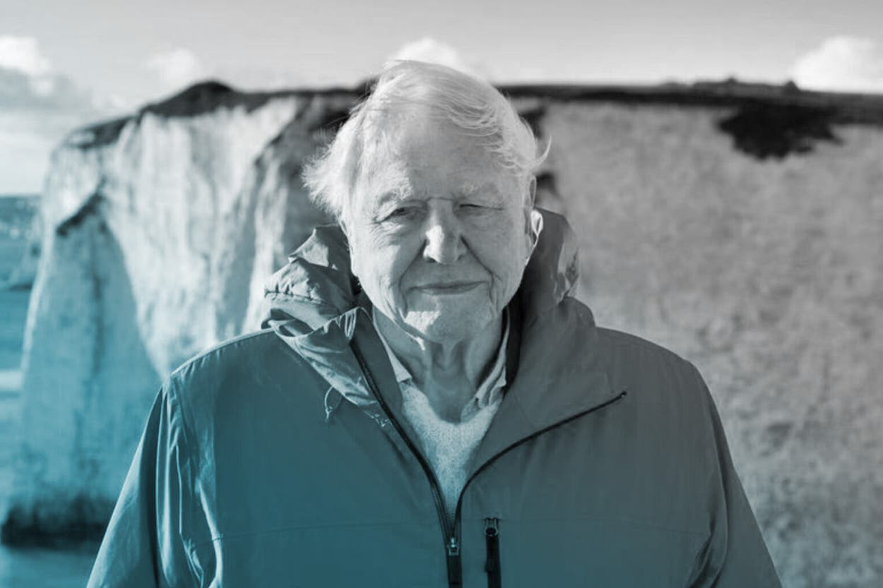 David Attenborough (BBC)