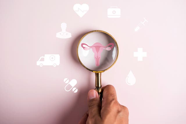 <p>More women are getting a fertility health check to see what their options are</p>