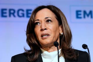 Former Vice President Kamala Harris has lost her Los Angeles Police Department security detail after the city faced backlash from a police advocacy organization