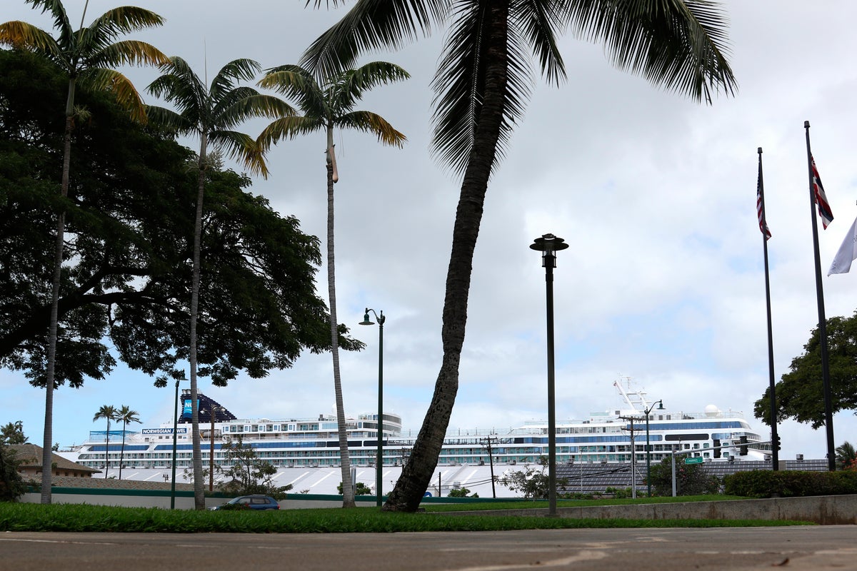Lawsuit challenges Hawaiis tourist tax on cruise industry aimed at climate change consequences