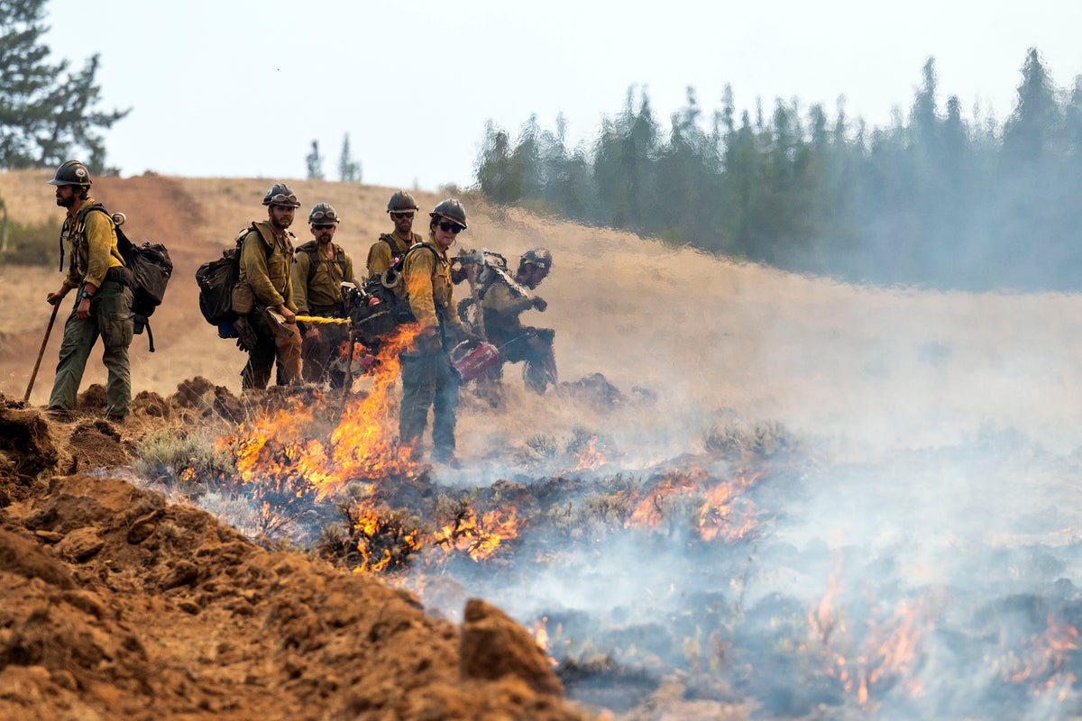 Two firefighters battling Washington state’s biggest wildfire arrested by Border Patrol agents