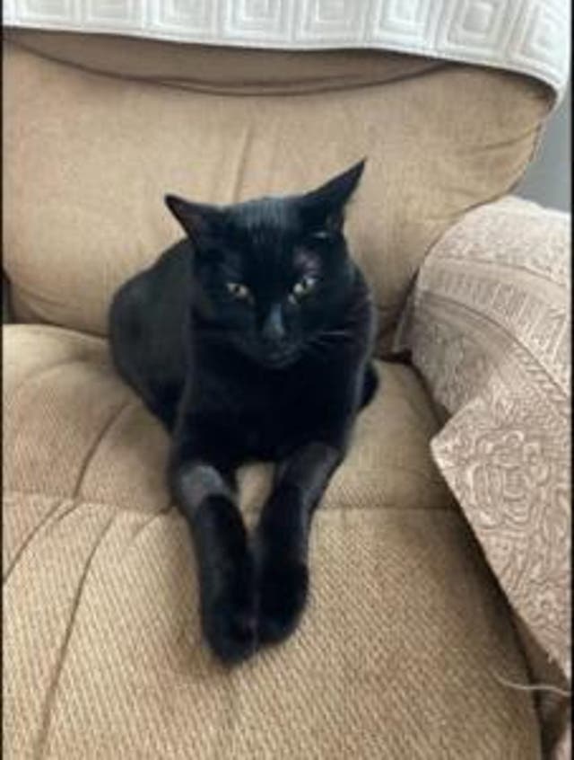 <p>Jak, a research participant, during the clinical trial</p>