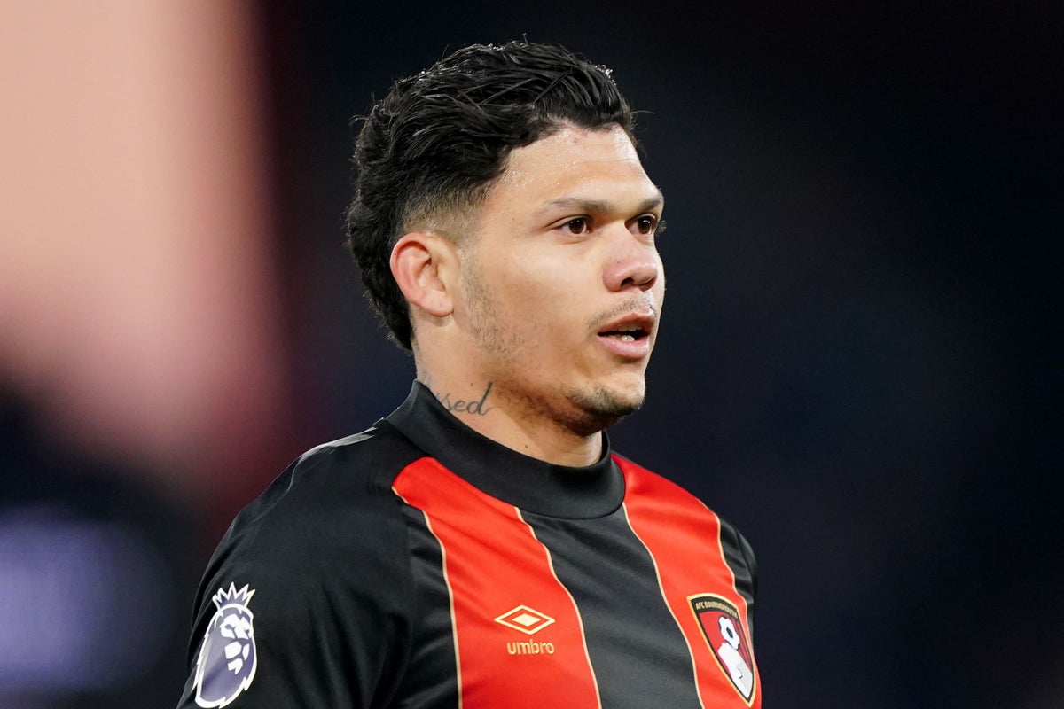 Bournemouth bring Tottenham back down to earth as Evanilson secures win