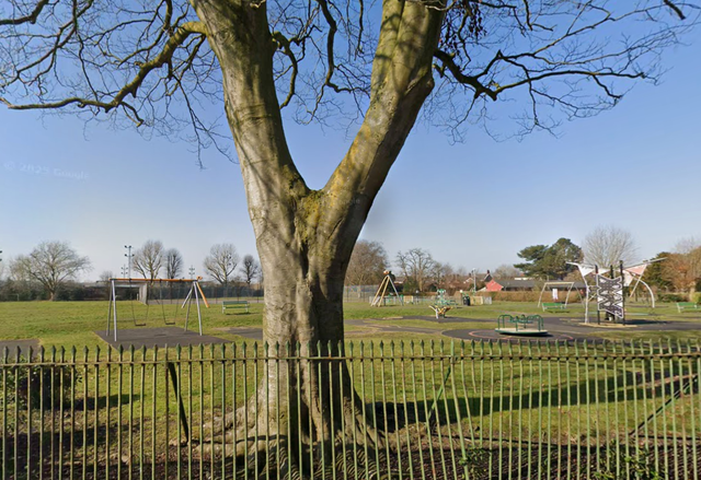 <p>The incident took place in Wharton Recreation Ground, Winsford</p>
