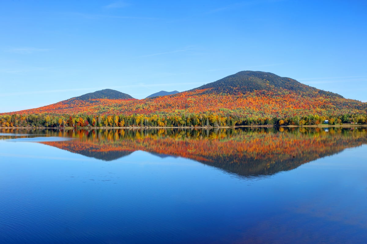https://static.independent.co.uk/2025/08/31/15/23/iStock-1440764714.jpg?width=1200&height=800&crop=1200:800