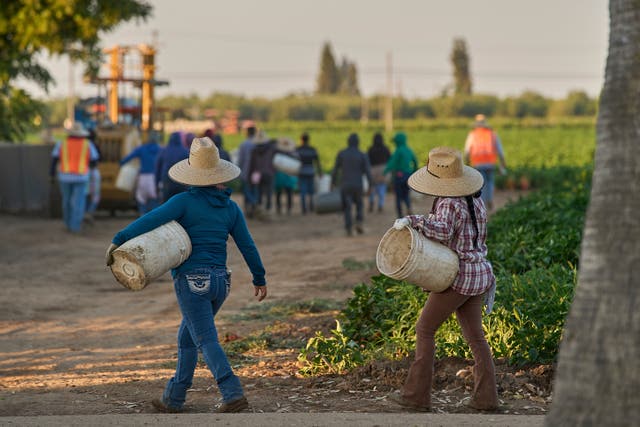 EEUU-DÍA DEL TRABAJO-INMIGRACIÓN