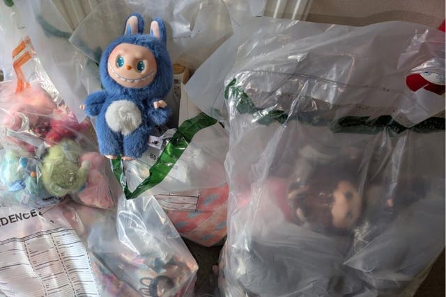 Fake Labubu dolls were seized in Elgi