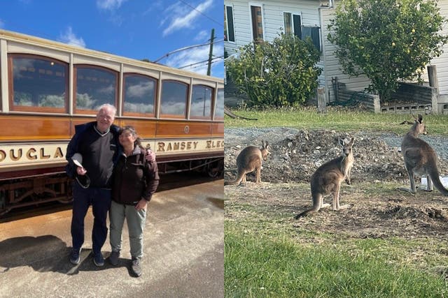 <p>Joan and Noel Patterson </p>