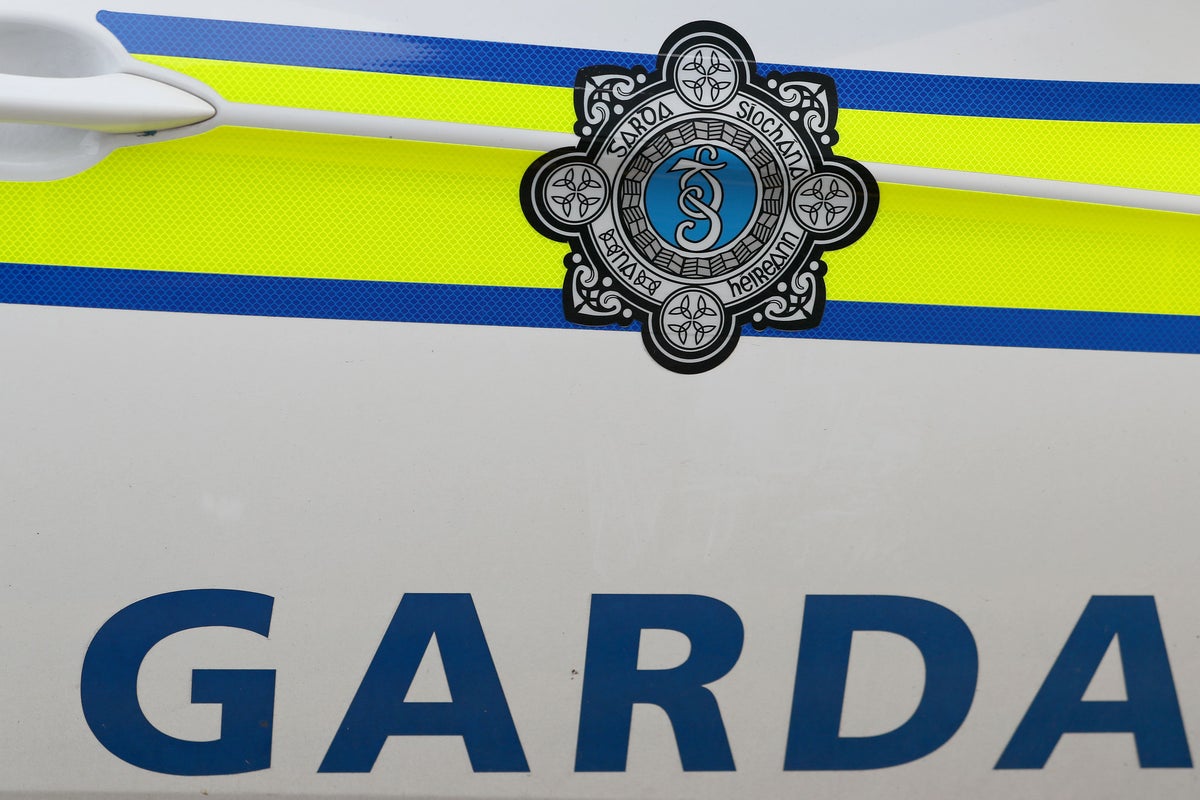 Gardaí Continue Search for Dublin Boy Missing Several Years, Feared Dead