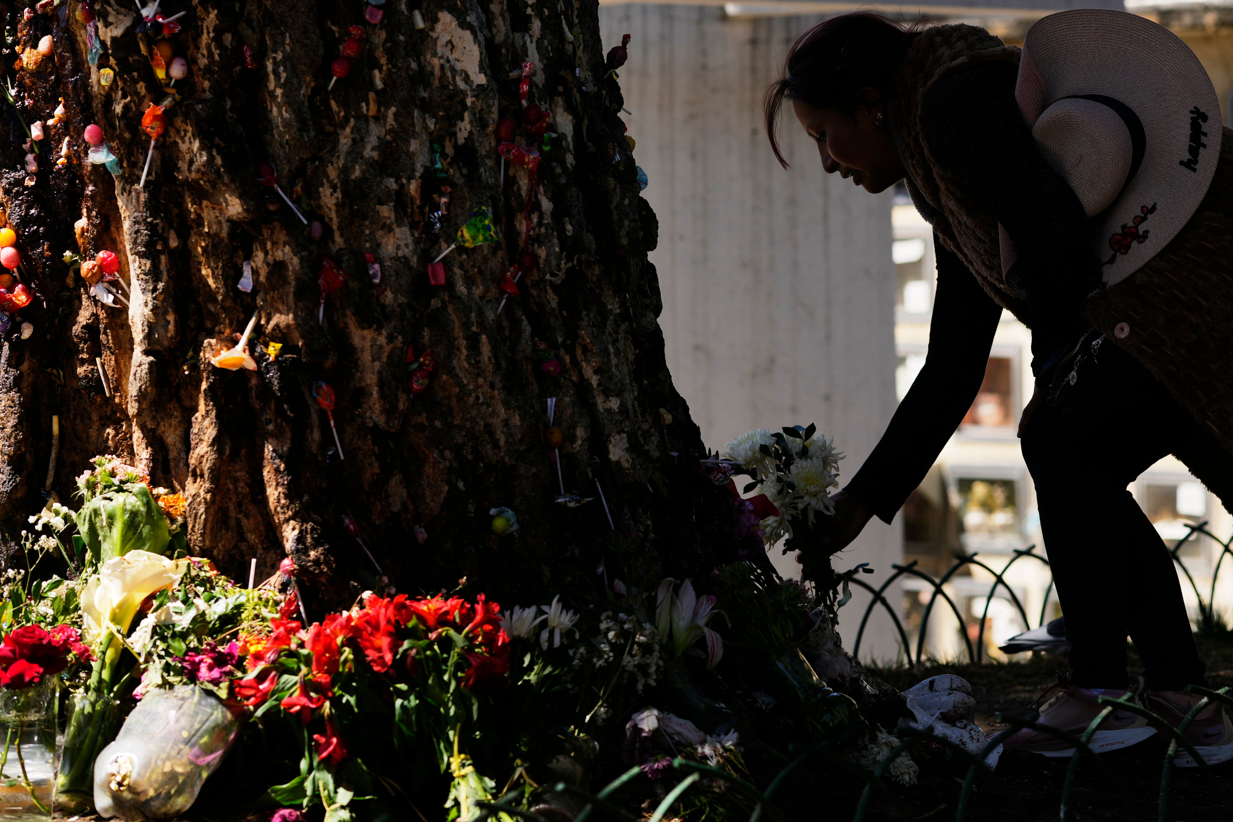 BOLIVIA-ÁRBOL MILAGROSO