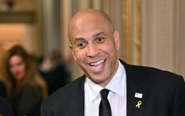 <p>Democratic Senator Cory Booker has announced his engagement to Alexis Lewis </p>