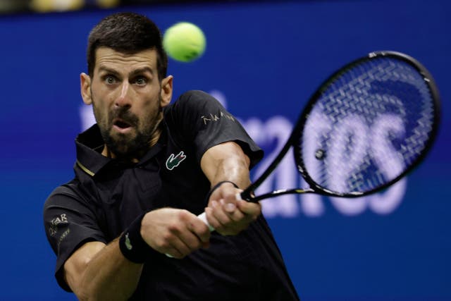 Novak Djokovic battled past Taylor Fritz (Adam Hunger/AP)