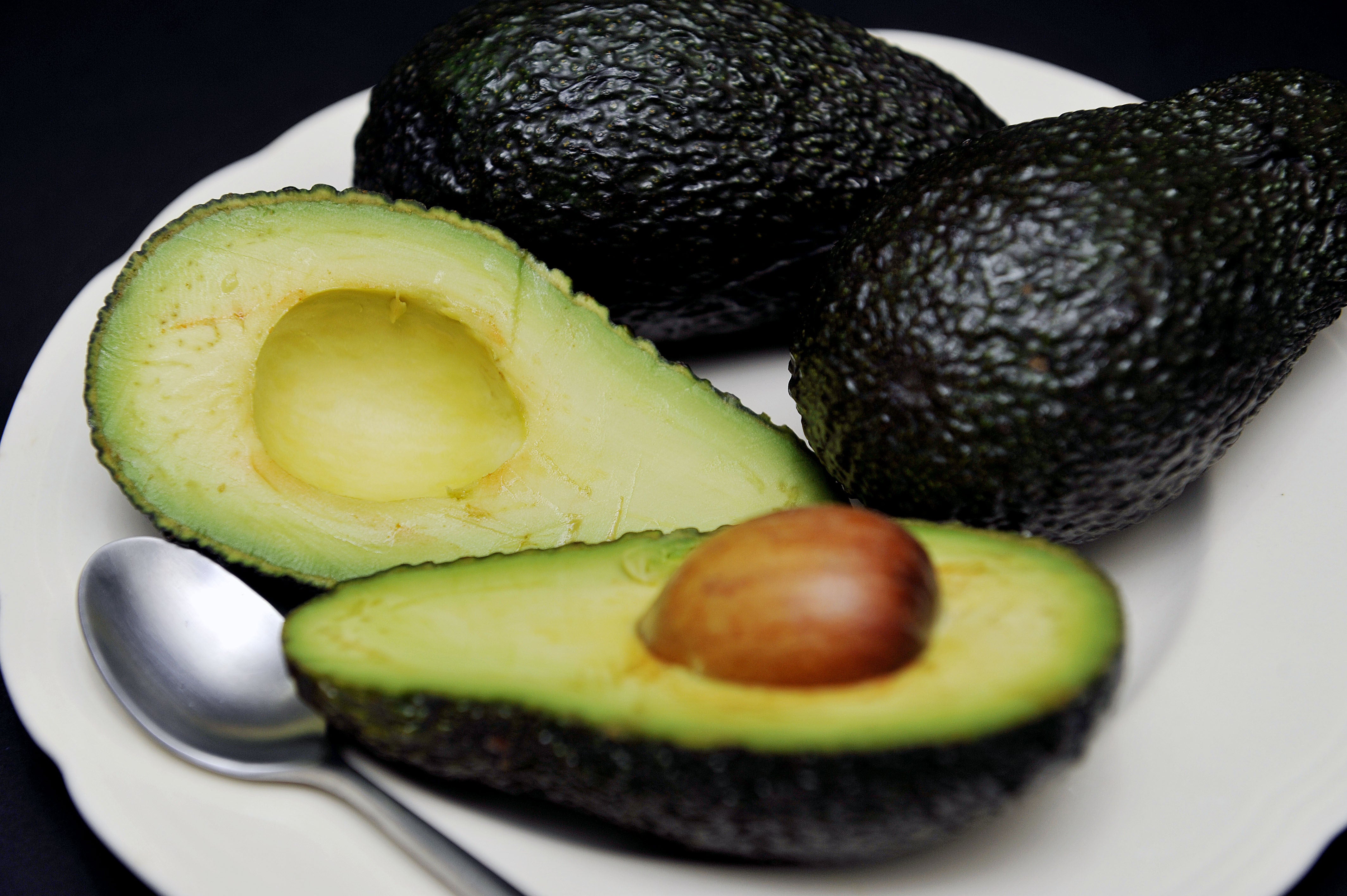 It is easy to grow an avocado at home - here’s how