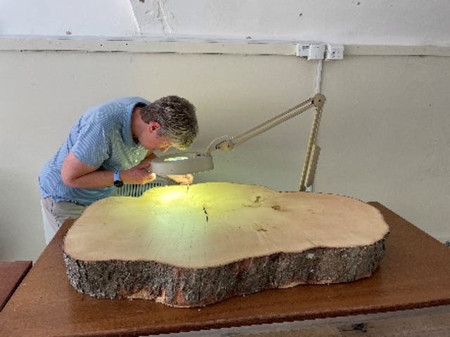 <p>Researchers analysed the sample under lab conditions</p>