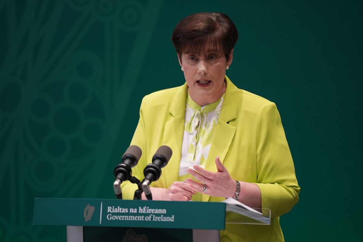 Irish Child Welfare Agency Reviews Closed Cases After Missing Boy Search