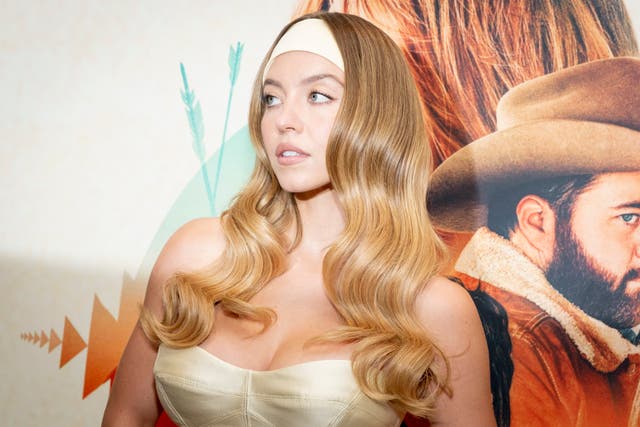 <p>The ad used wordplay on 'jeans' and 'genes,' highlighting Sweeney’s physical appearance and saying she 'has great jeans'</p>