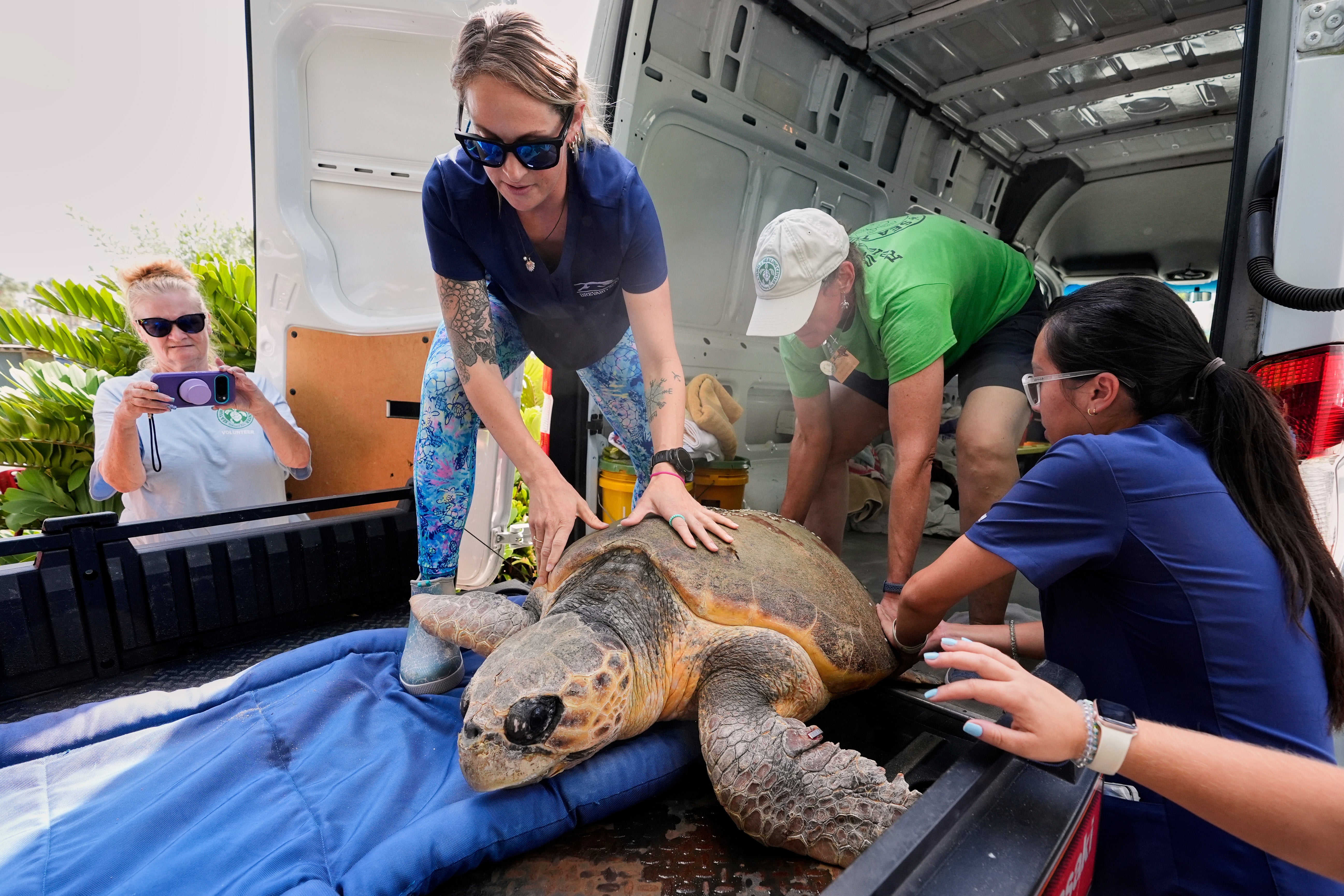 Turtle Release Florida