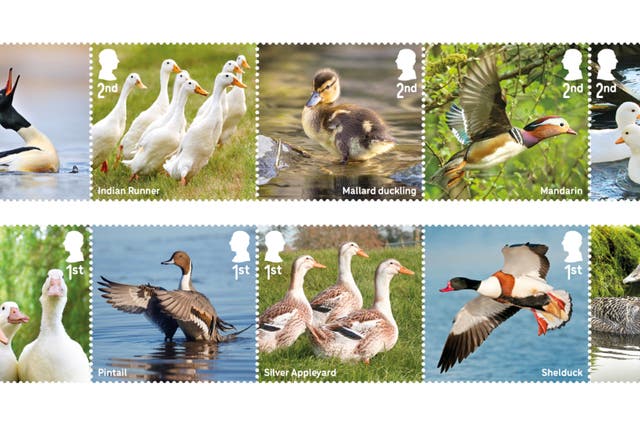 The stamps have images of 10 duck species and breeds (Royal Mail/PA)
