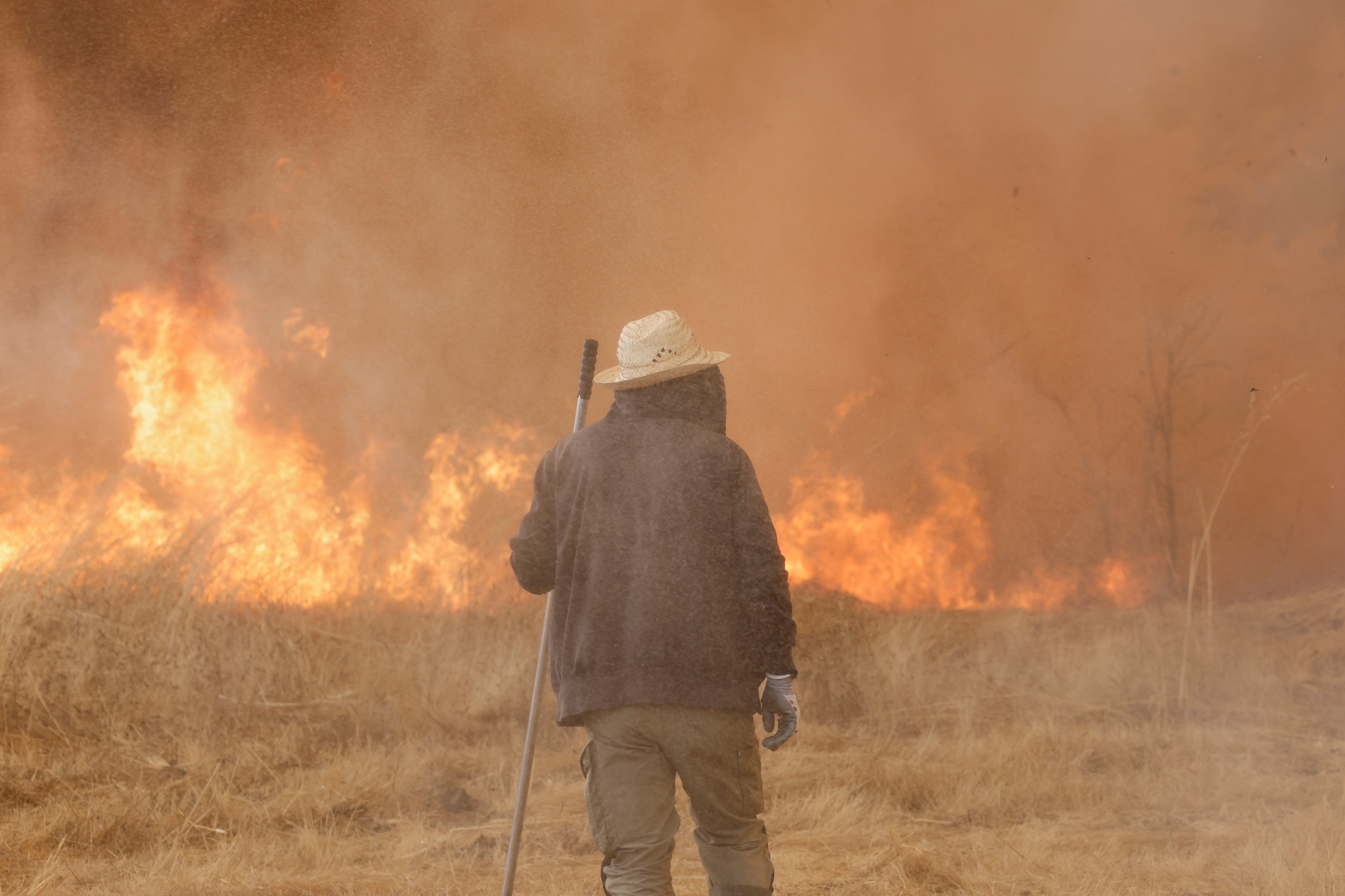 Climate Change-Wildfires