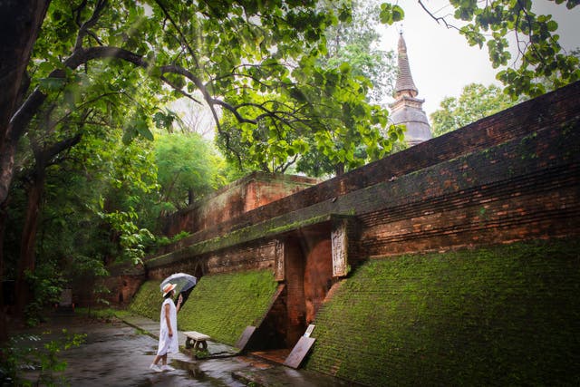 <p>From sustainable travel and community projects, to the country’s incredible natural beauty, discover Thailand’s greenest cities </p>