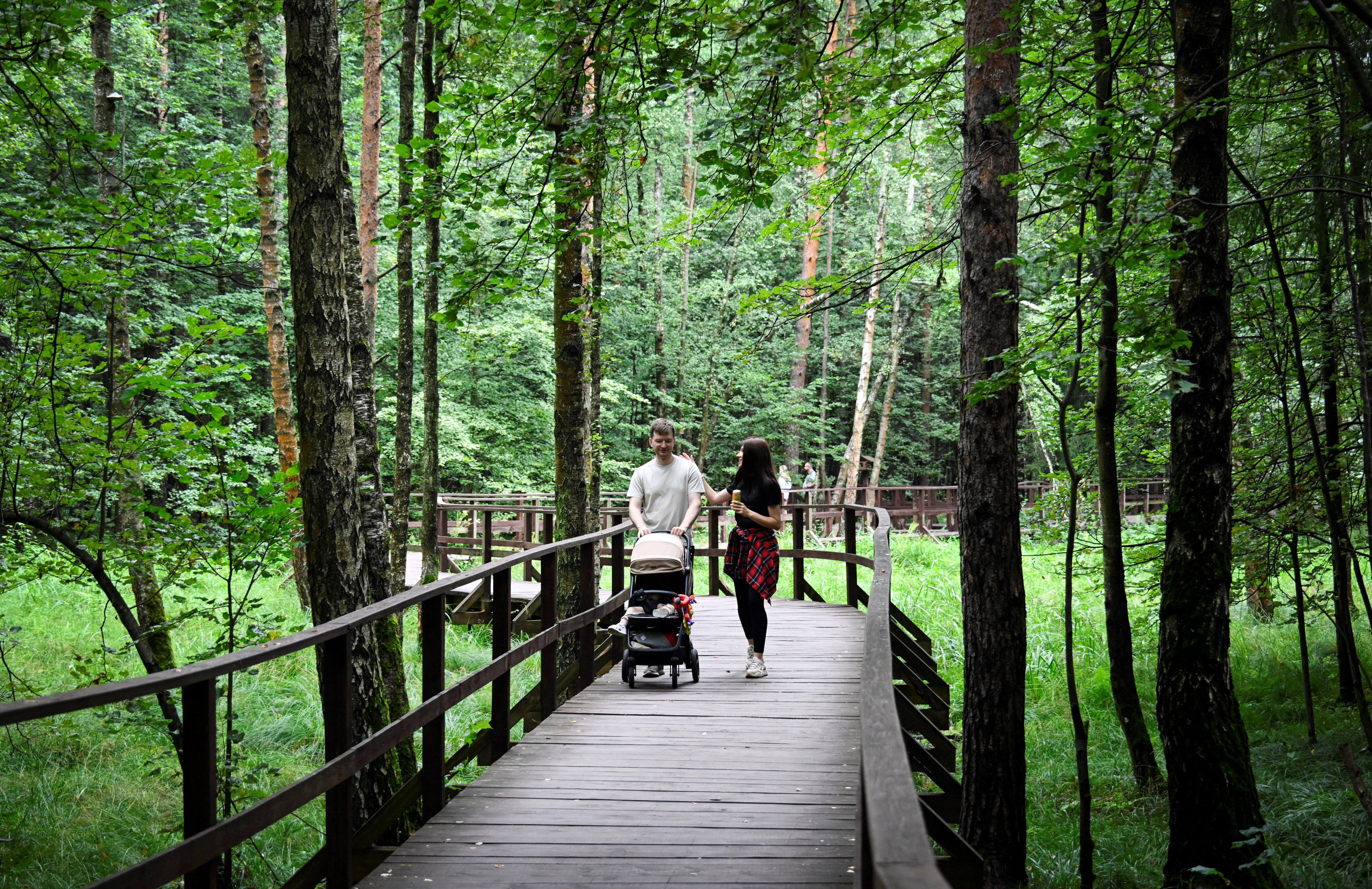 Spending time in nature can give people both physical and mental relief from back pain
