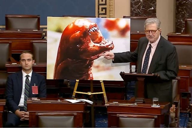 <p>Sen. John Kennedy spoke on the Senate floor Wednesday with a photo from "Alien" behind him</p>